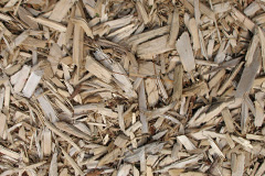biomass boilers Radstock